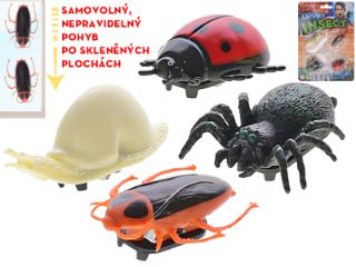 Obrázek z Hmyz 4cm 4ks na kartě 